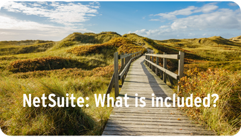 What is included in NetSuite?
