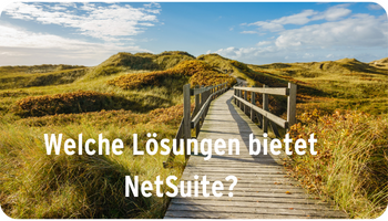Welche Lösungen bietet NetSuite?