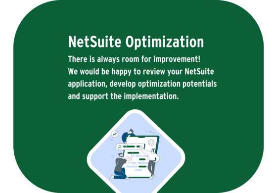 NetSuite Optimization