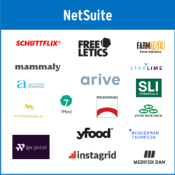 NetSuite Referenzen