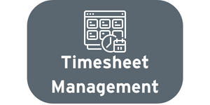 netsuite-produk_timesheet__300x150.png