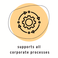 netsuite-vorteil-unternehmensweit_e__500x500_200x200.png