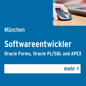 softwareentwickler__300x300.png